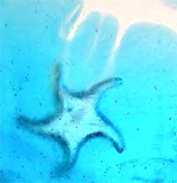 Cast Art Glass Startfish Details